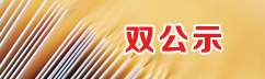 ˫ʾ
